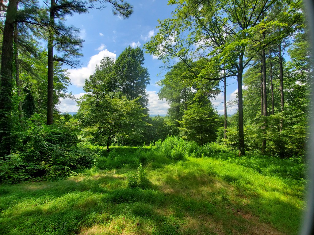 Biblical Masculinity: Be Not Like This&nbsp;Generation