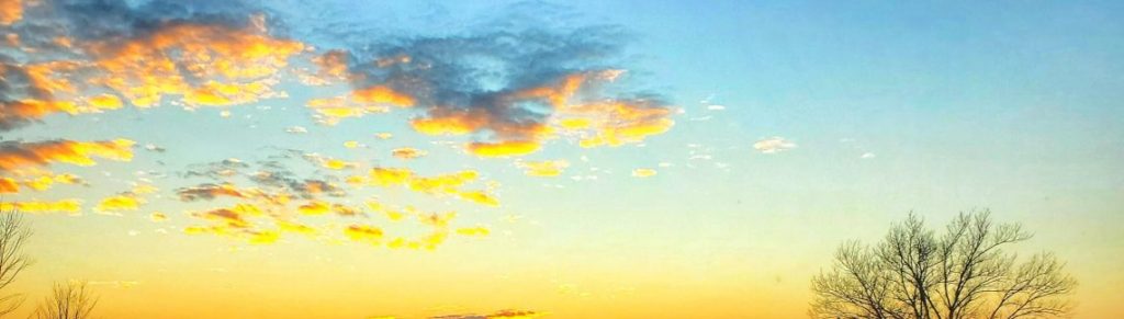 Tom Homan, Selena Gomez & Biblical&nbsp;Whataboutism